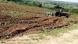 Corte de terra em Queimadas vai beneficiar mais de 1500 agricultores