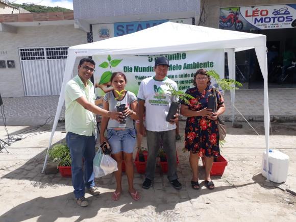 Dia do Meio Ambiente em Queimadas será comemorado com distribuição de mudas para a população