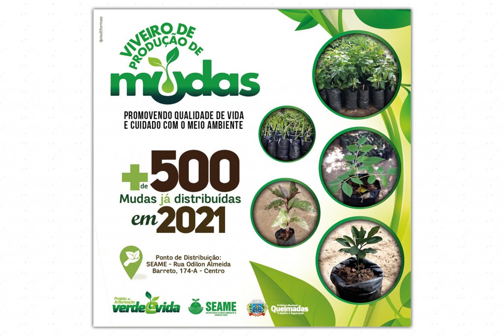 Projeto de arborização já distribuiu mais de 500 mudas em 2021