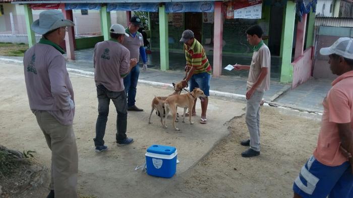 Secretaria de Saúde de Queimadas já vacinou 4.867 animais contra a raiva; Campanha continua até novembro