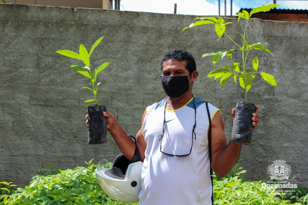 Semana do Meio Ambiente: SEAME distribui mudas de árvores