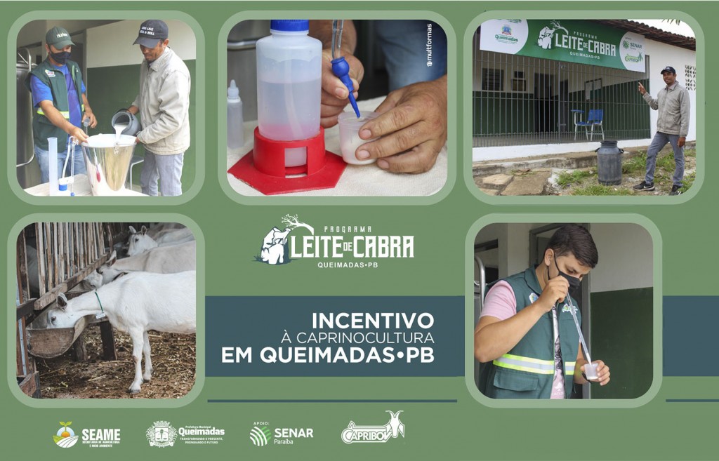 Prefeitura de Queimadas incentiva o desenvolvimento da caprinocultura com o “Programa Leite de Cabra”